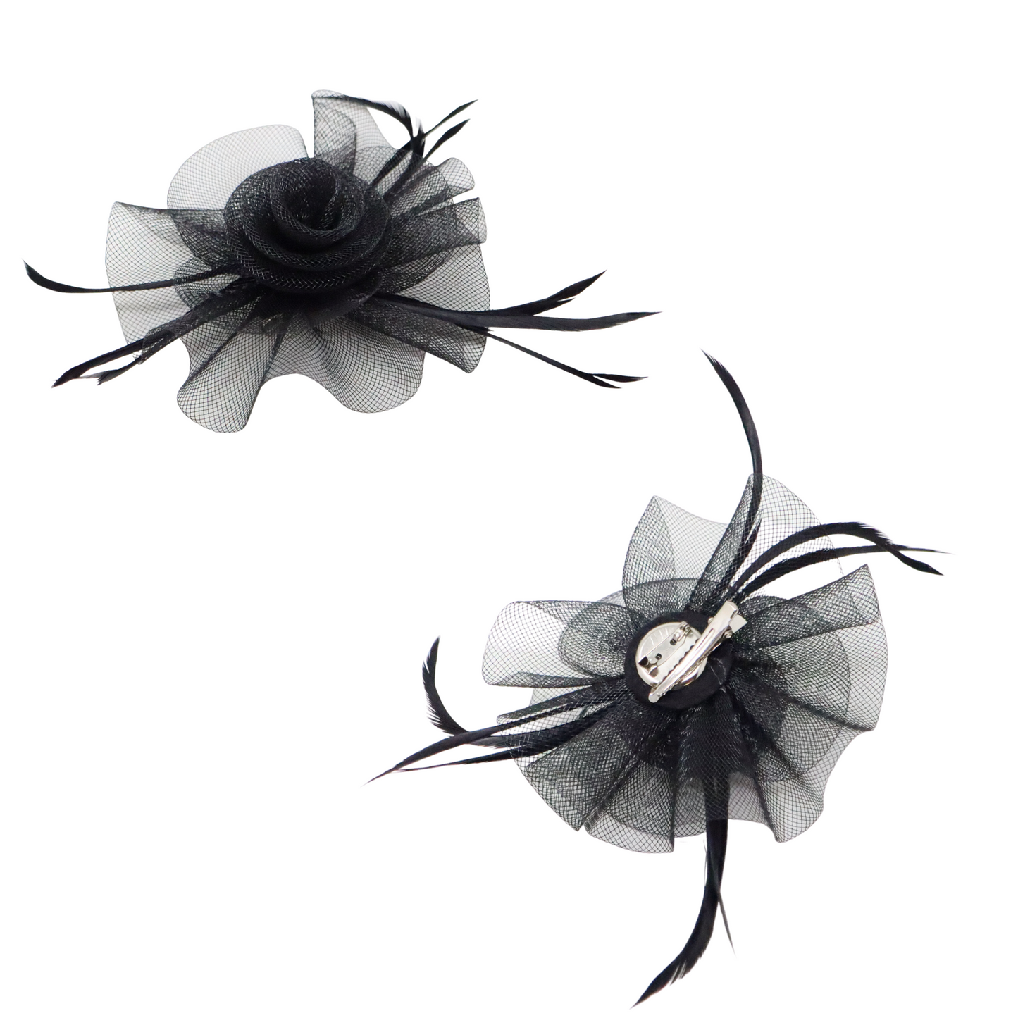 Variations de petites plumes simples de fascinateur