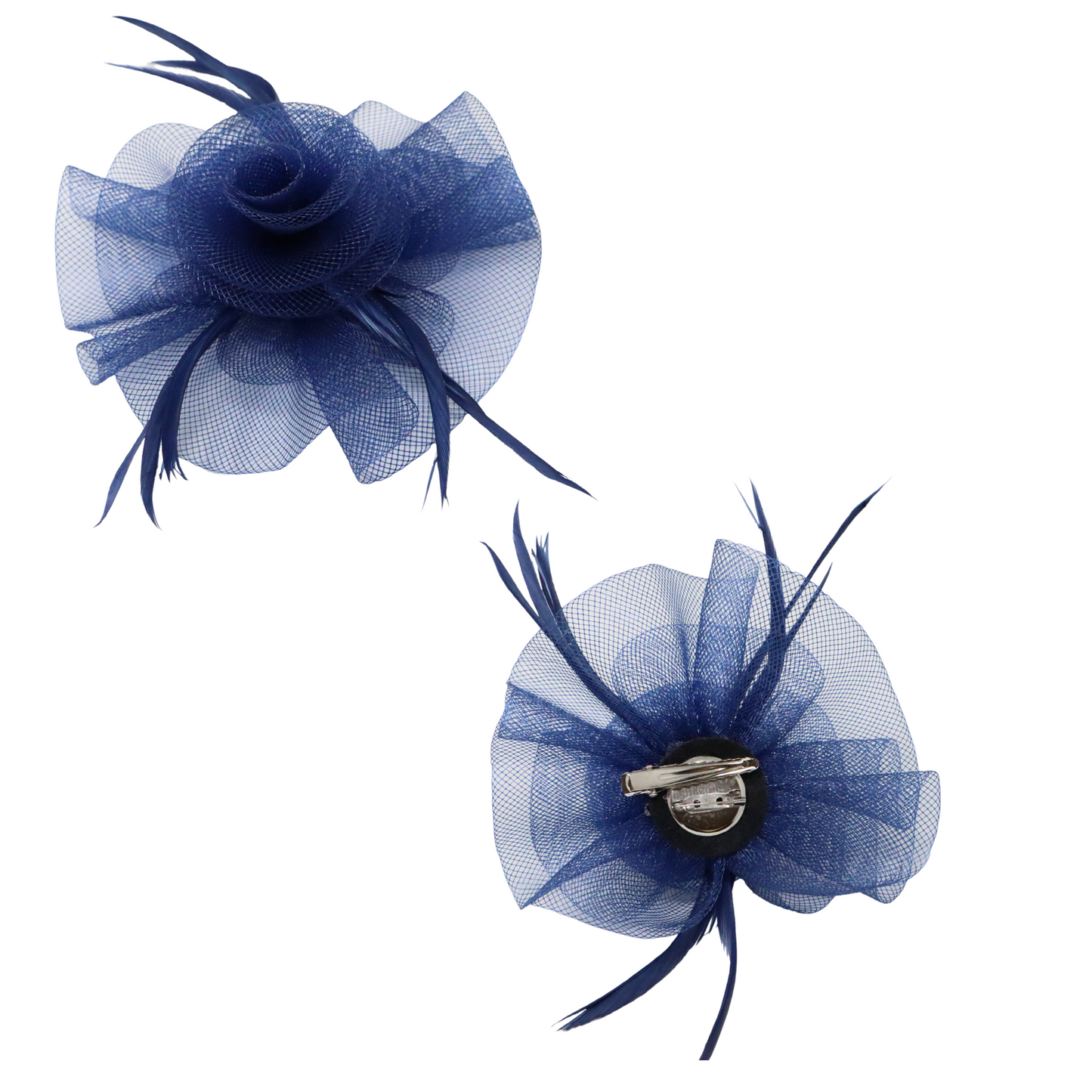 Variations de petites plumes simples de fascinateur