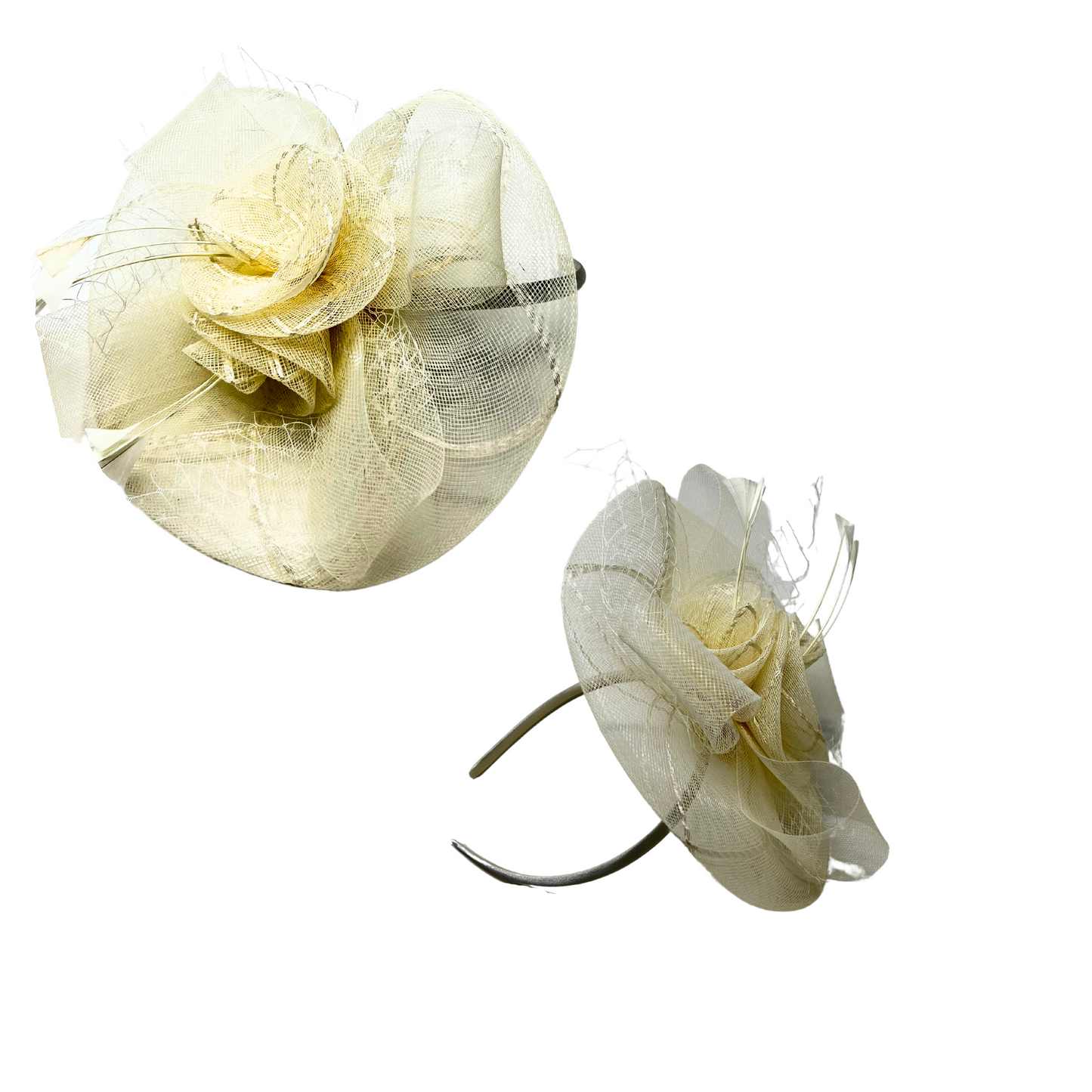 Fascinator Netted Disk Flower