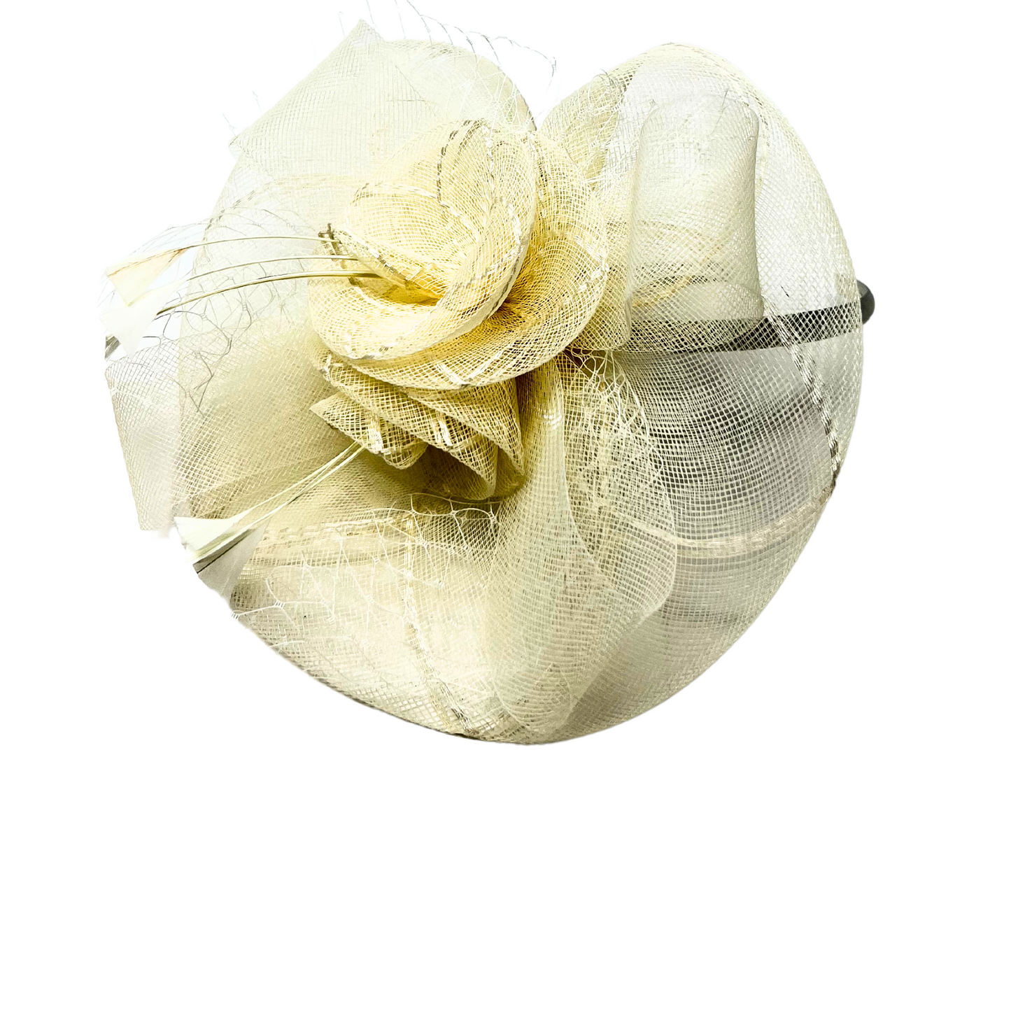 Fascinator Netted Disk Flower