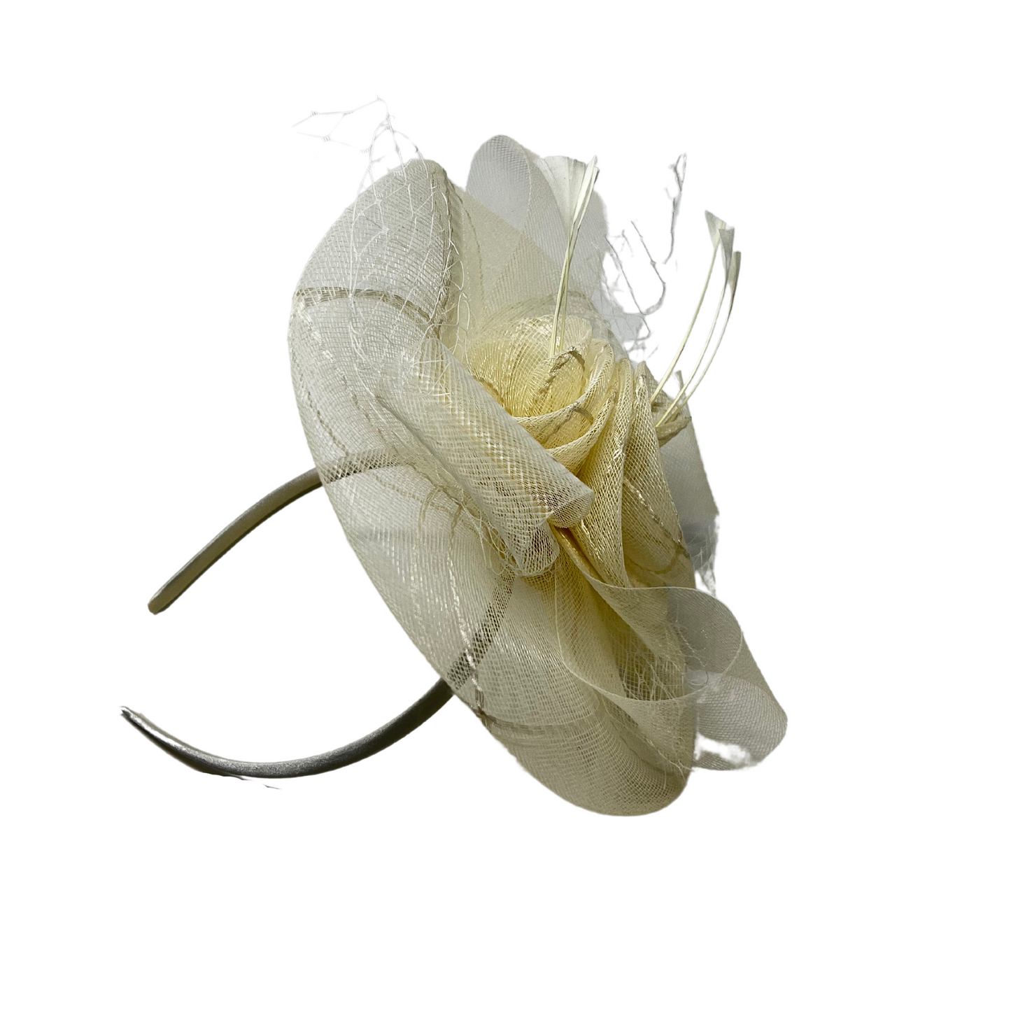 Fascinator Netted Disk Flower